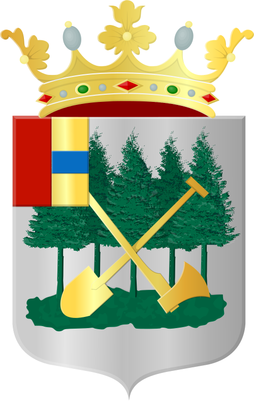 Stadswapen van Roden met een website logo